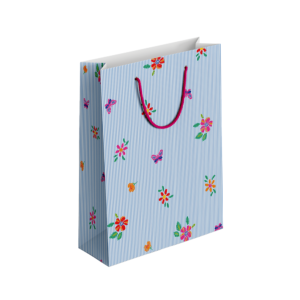 (Pack of 6) Fancy Gift Bags Printed on Imported Bleach Card with Mate Lamination (210gm)