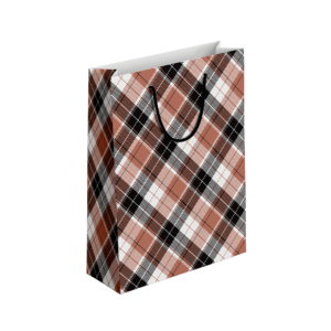 (Pack of 6) Fancy Gift Bags Printed on Imported Bleach Card with Mate Lamination (210gm)
