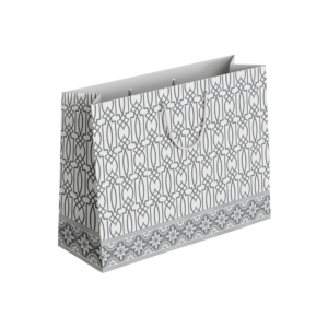 (Pack of 6) Fancy Gift Bags Printed on Imported Bleach Card with Mate Lamination (210gm)