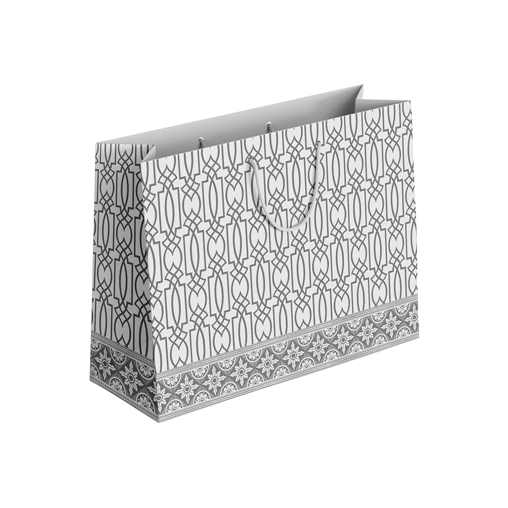 (Pack of 6) Fancy Gift Bags Printed on Imported Bleach Card with Mate Lamination (210gm)