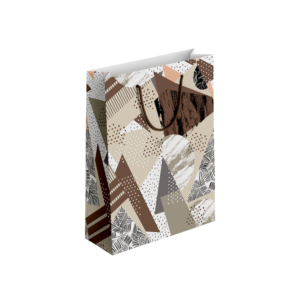 (Pack of 6) Fancy Gift Bags Printed on Imported Bleach Card with Mate Lamination (210gm)