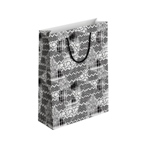 (Pack of 6) Fancy Gift Bags Printed on Imported Bleach Card with Mate Lamination (210gm)