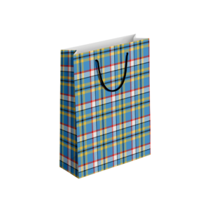 (Pack of 6) Fancy Gift Bags Printed on Imported Bleach Card with Mate Lamination (210gm)